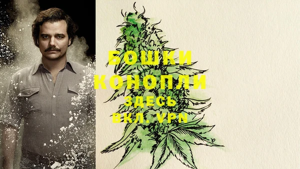 дурь Аркадак