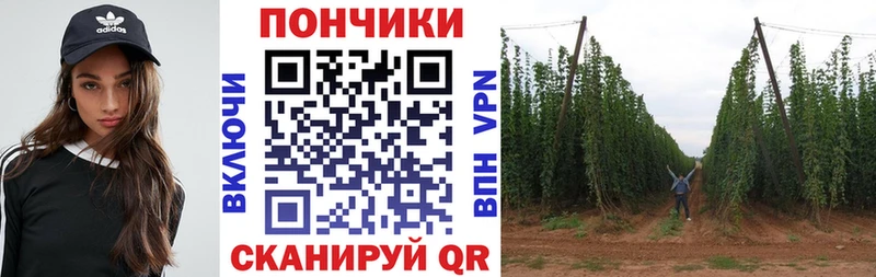наркотики  Сосновка  Конопля гибрид 
